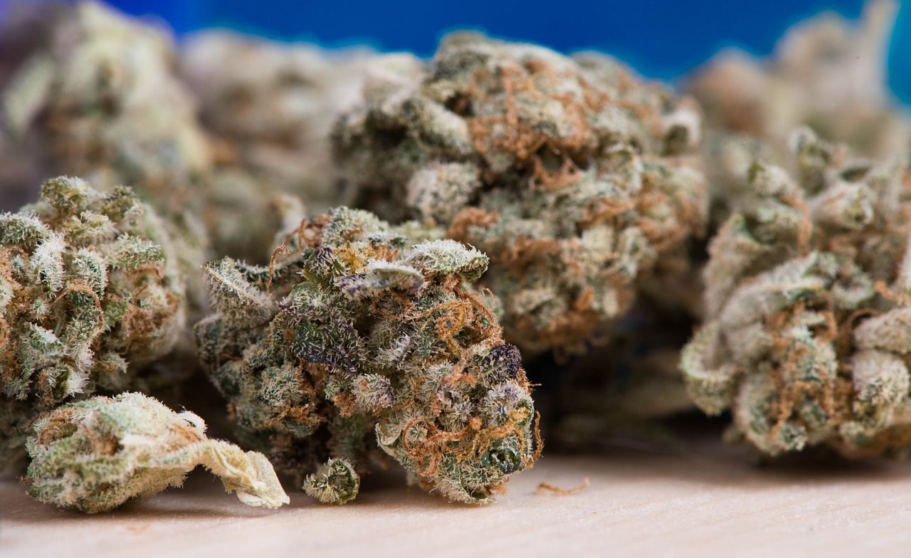 pot
